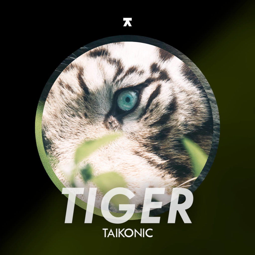 TAIKONIC - Tiger